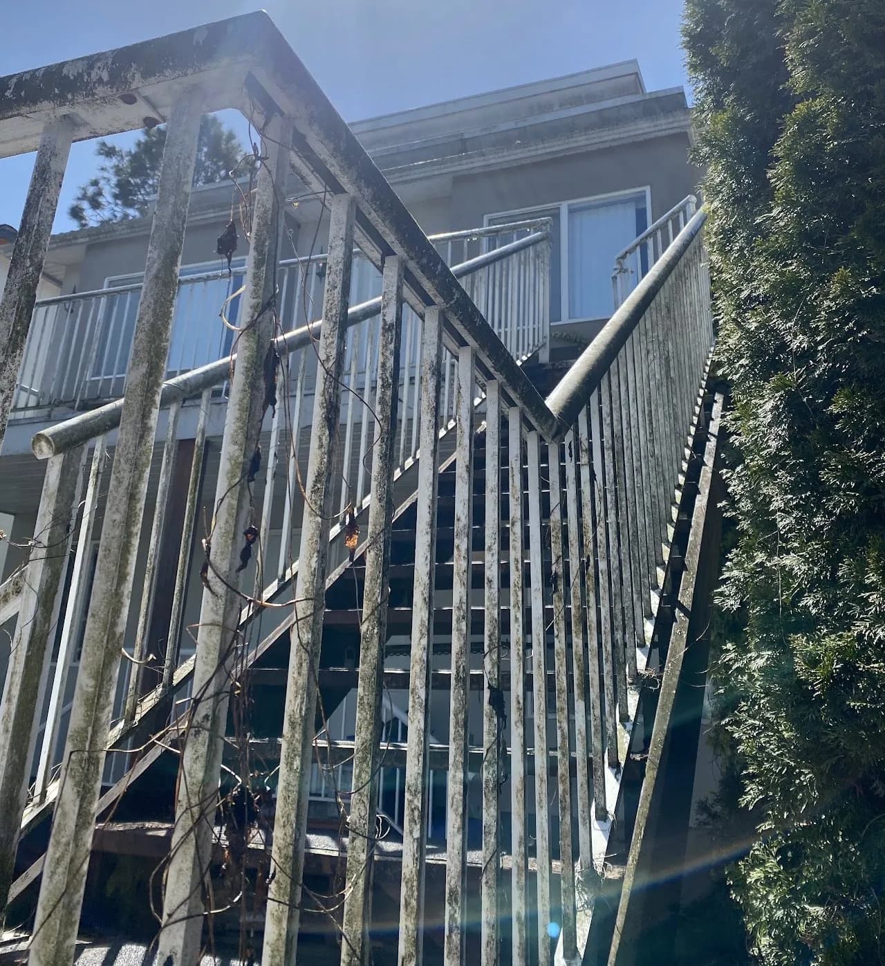 Before Deck Cleaning