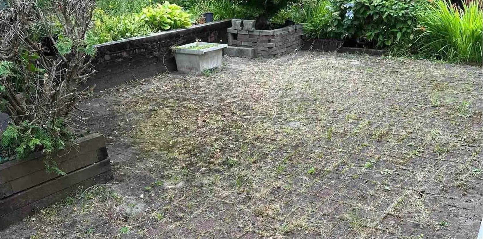 Before Patio Weeds Removal