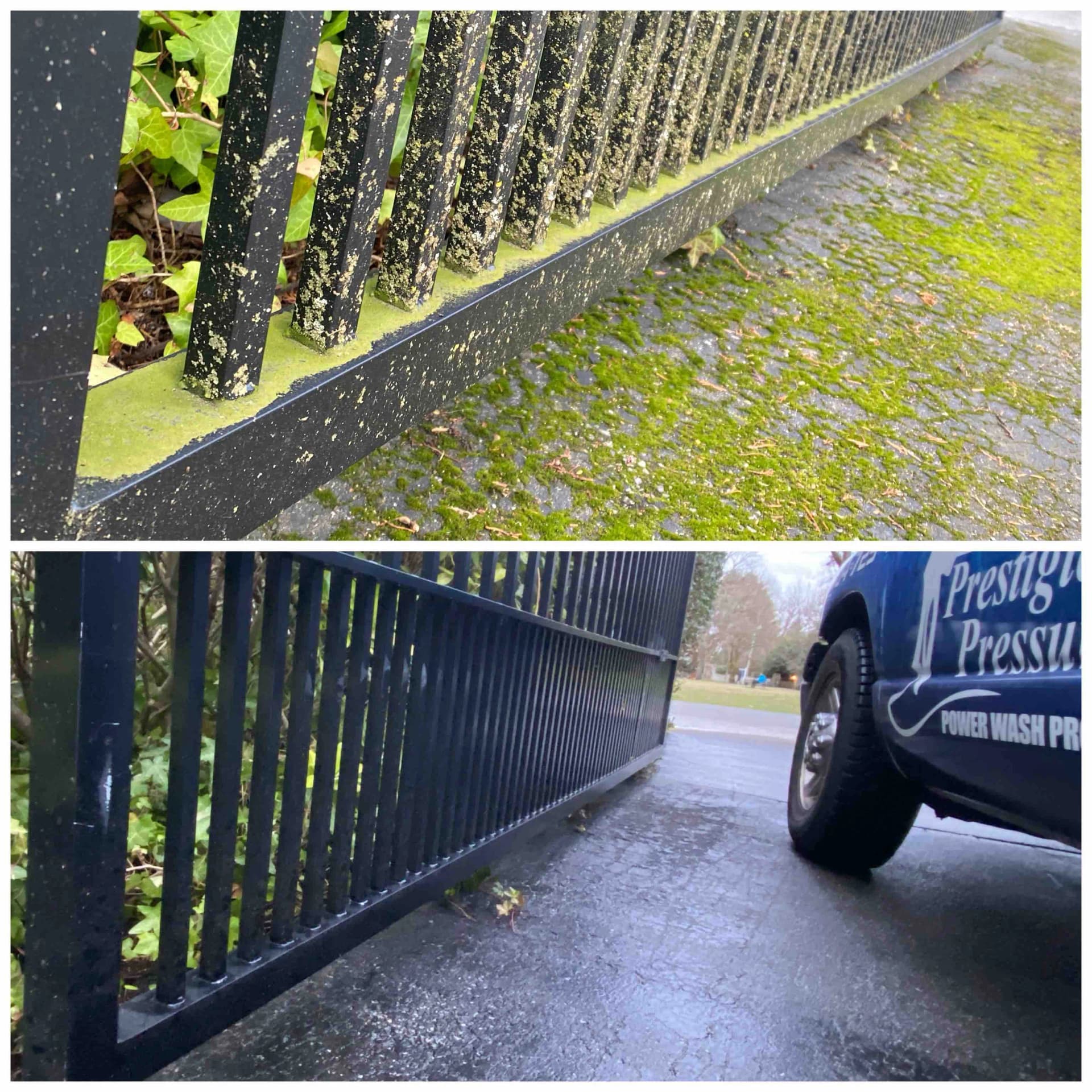 Moss Removal