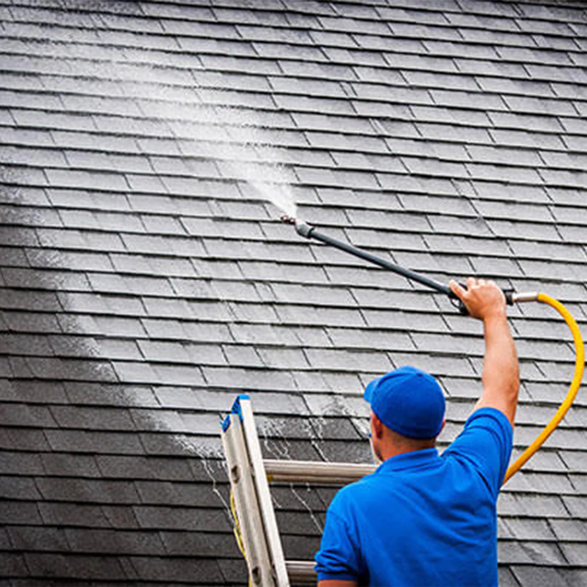 Roof Cleaning